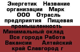 Энергетик › Название организации ­ Марк 4, ООО › Отрасль предприятия ­ Пищевая промышленность › Минимальный оклад ­ 1 - Все города Работа » Вакансии   . Алтайский край,Славгород г.